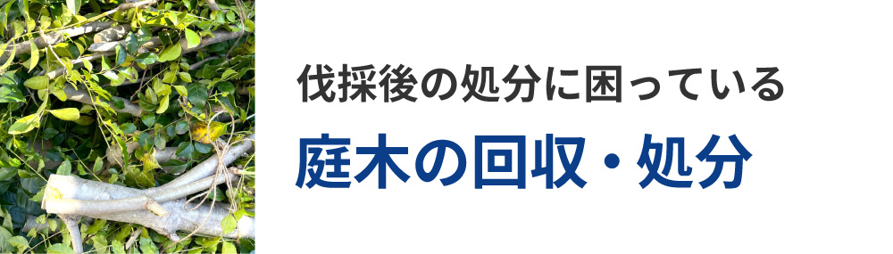 伐採後の処分に困っている庭木の回収・処分