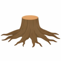 根（※土は可能な限り取り除いてください）